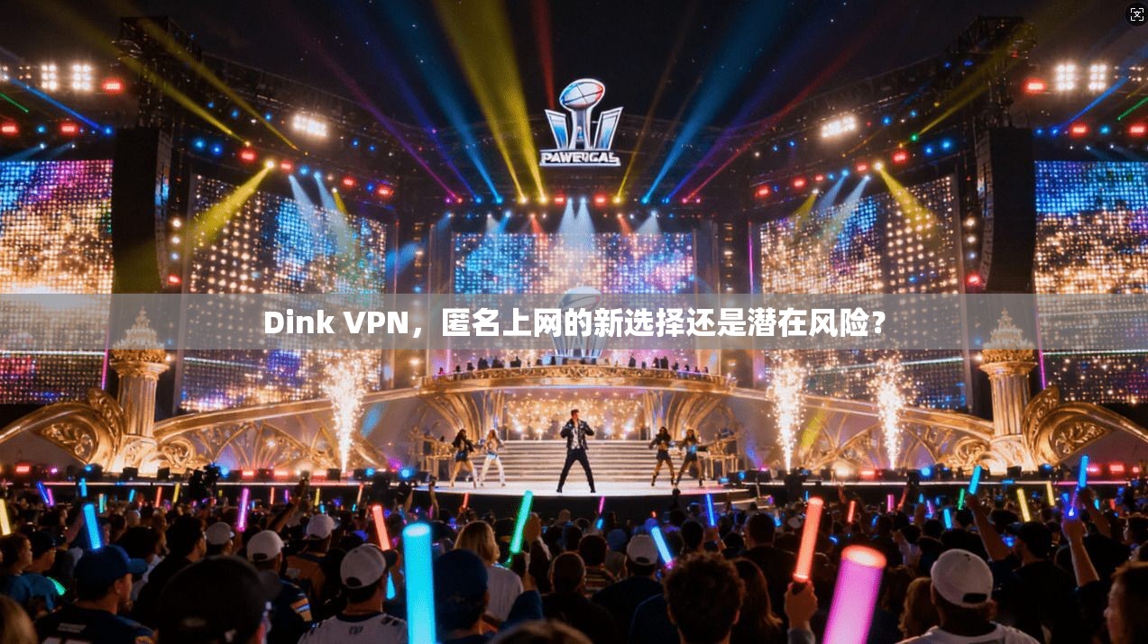 Dink VPN，匿名上网的新选择还是潜在风险？
