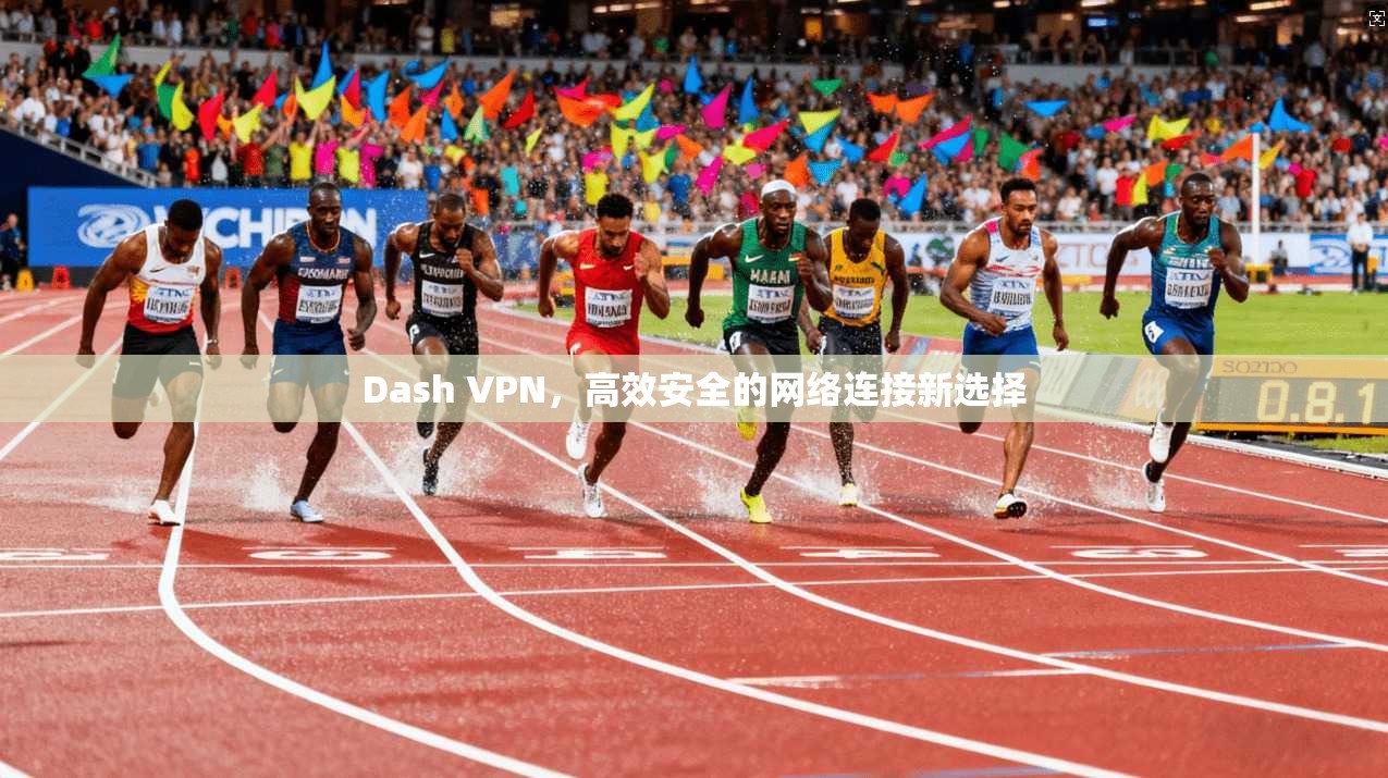 Dash VPN，高效安全的网络连接新选择