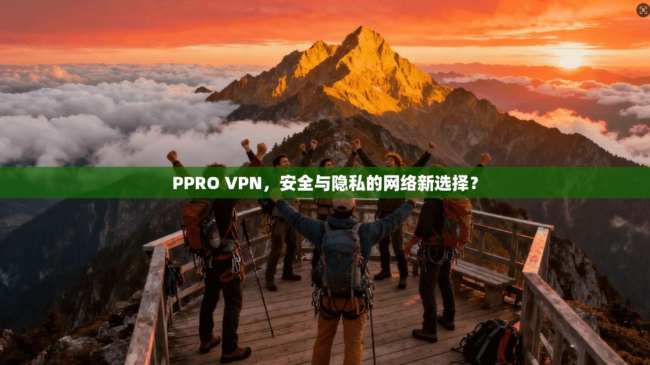 PPRO VPN，安全与隐私的网络新选择？