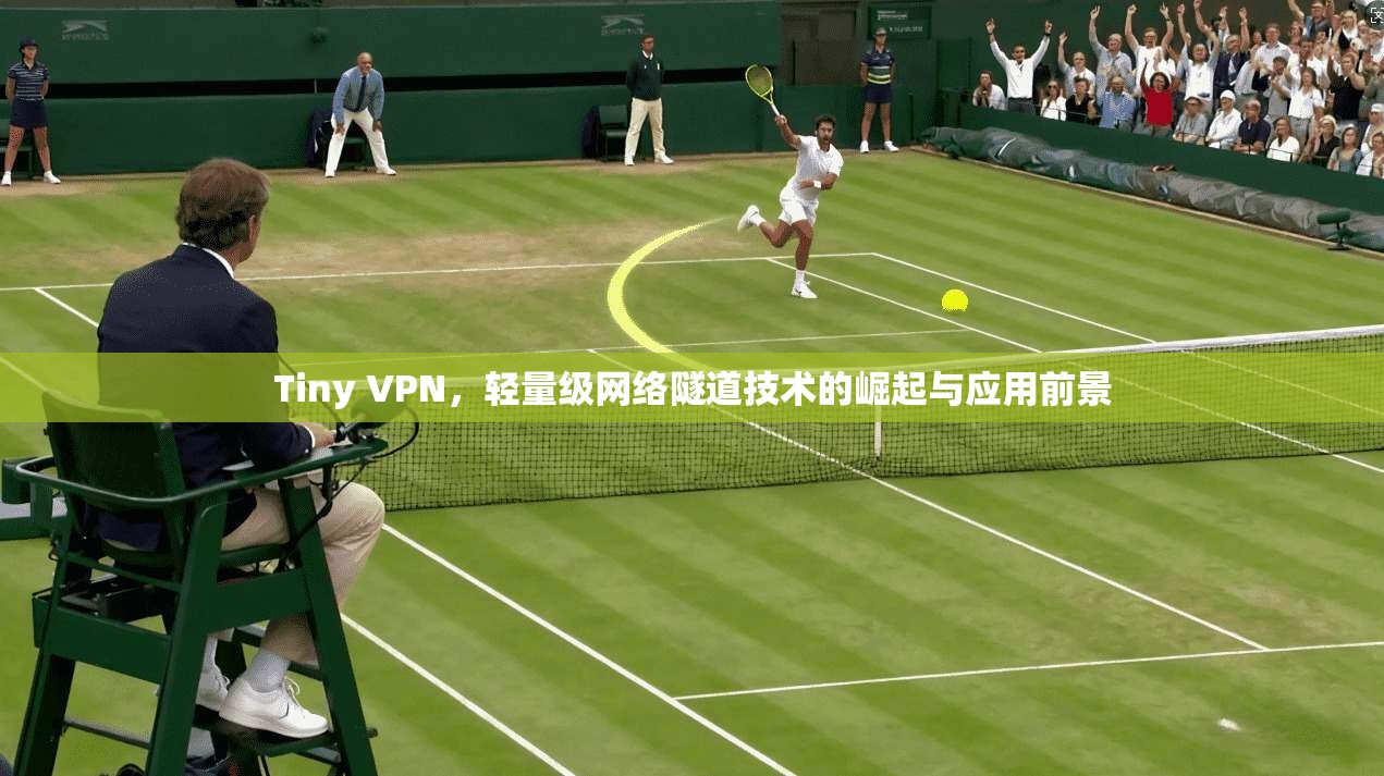 Tiny VPN，轻量级网络隧道技术的崛起与应用前景