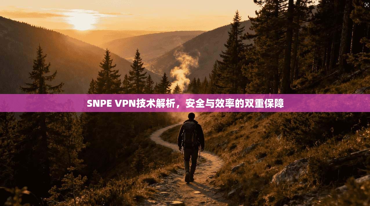 SNPE VPN技术解析，安全与效率的双重保障