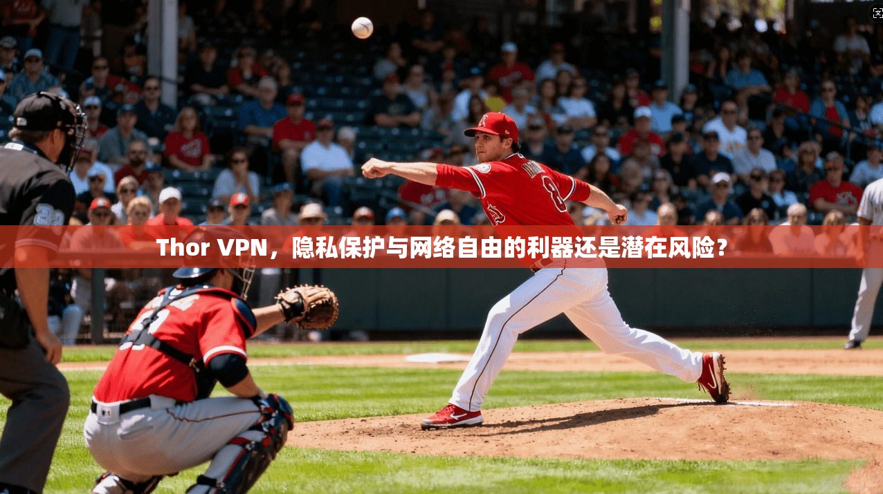 Thor VPN，隐私保护与网络自由的利器还是潜在风险？