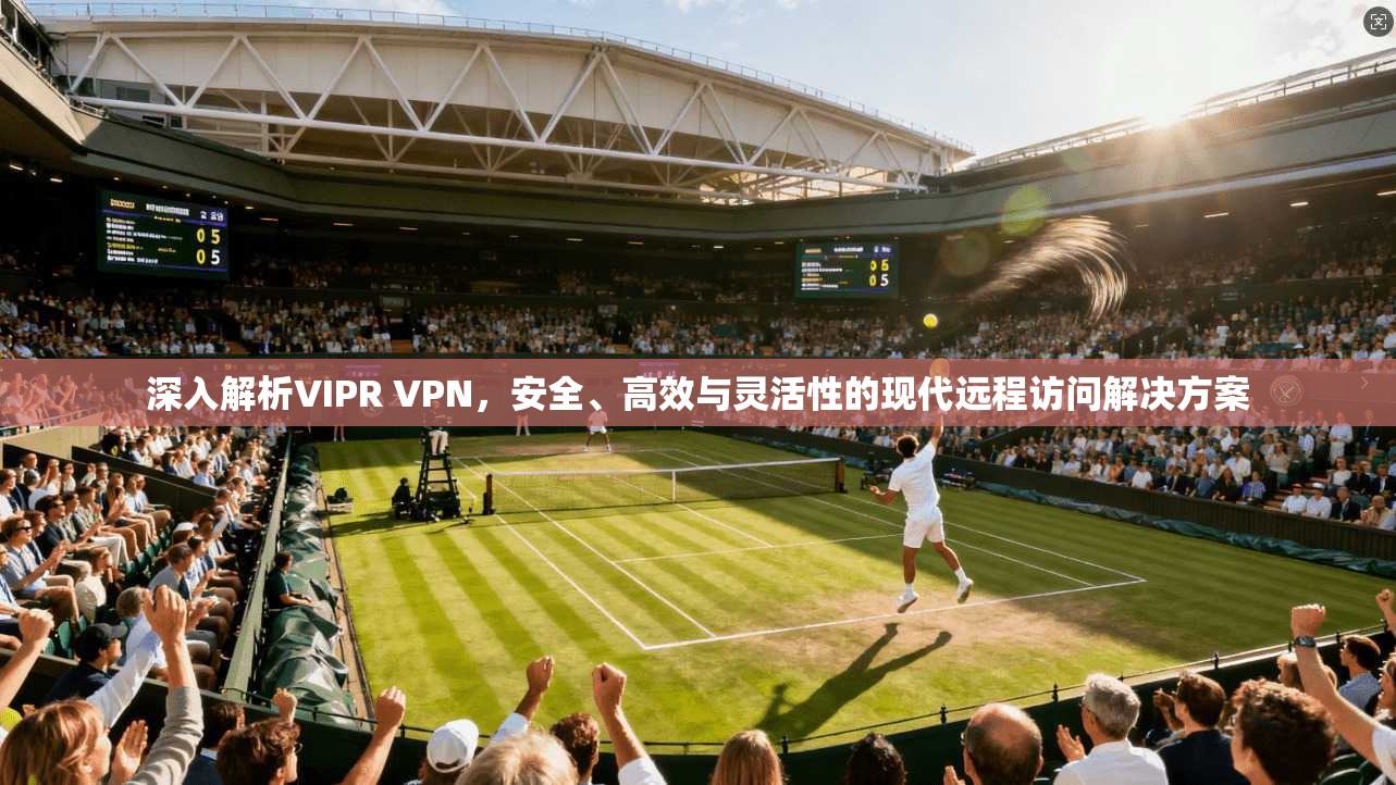 深入解析VIPR VPN，安全、高效与灵活性的现代远程访问解决方案