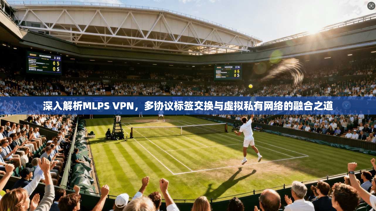 深入解析MLPS VPN，多协议标签交换与虚拟私有网络的融合之道