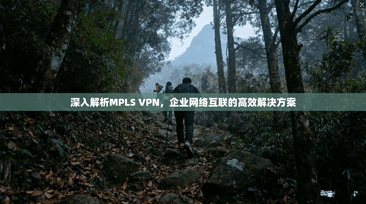 深入解析MPLS VPN，企业网络互联的高效解决方案
