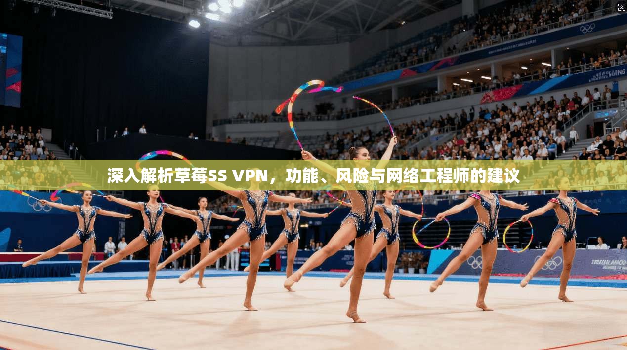 深入解析草莓SS VPN，功能、风险与网络工程师的建议