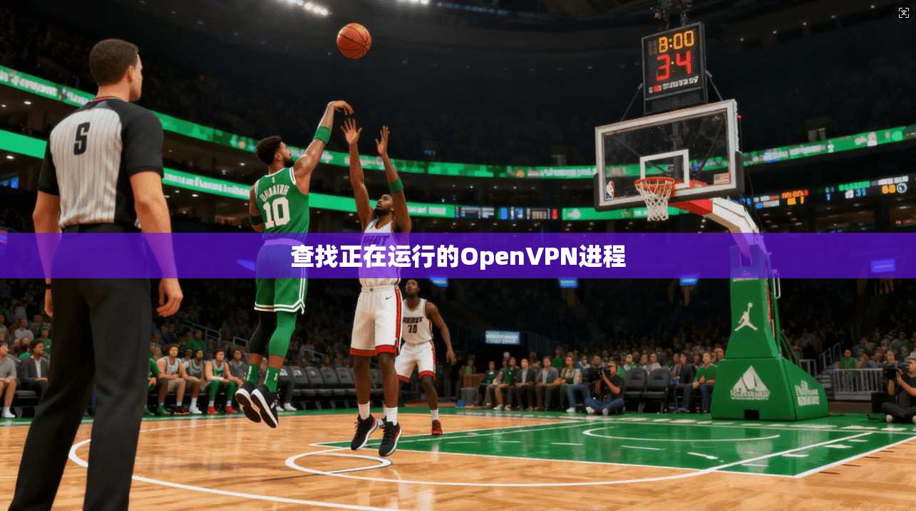 查找正在运行的OpenVPN进程