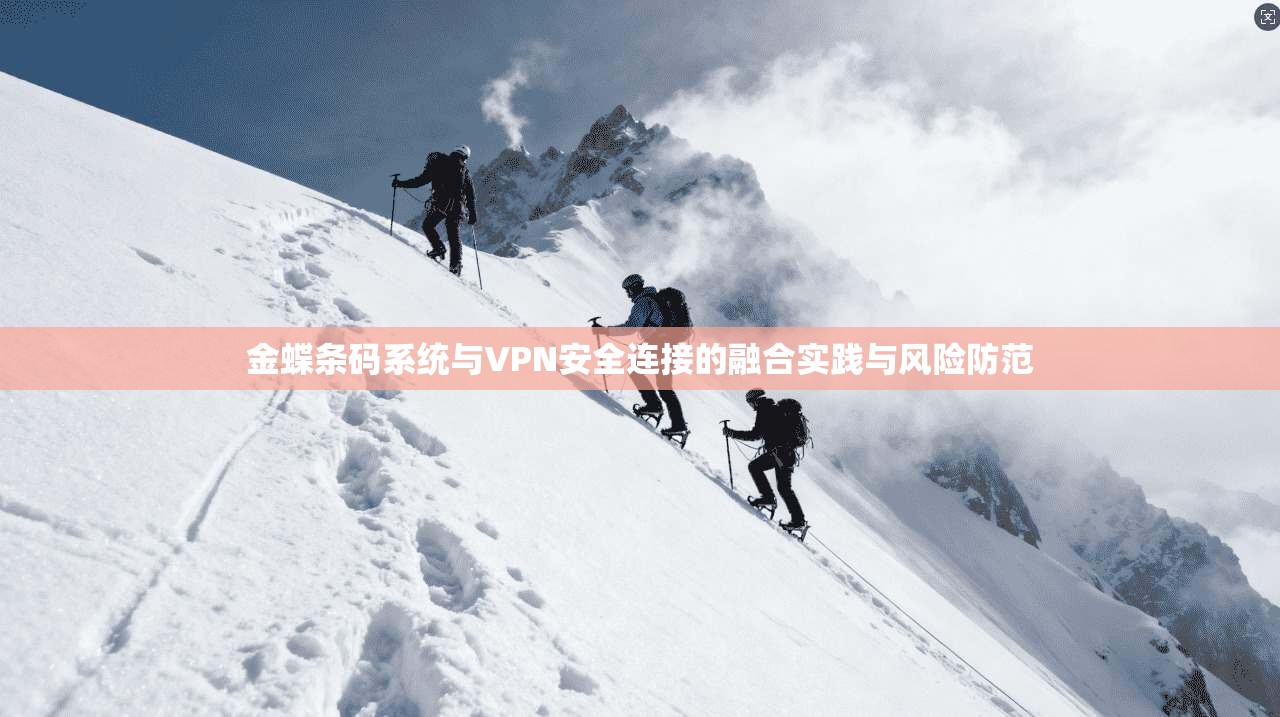 金蝶条码系统与VPN安全连接的融合实践与风险防范