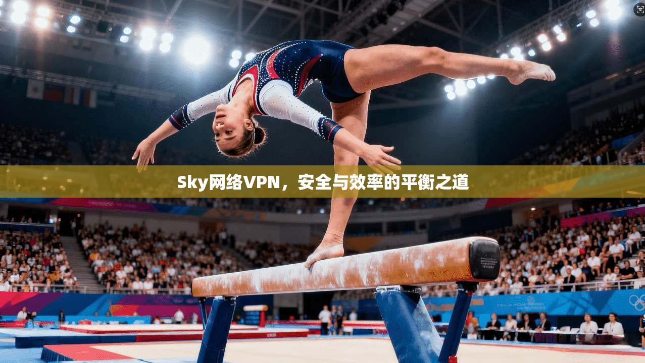 Sky网络VPN，安全与效率的平衡之道