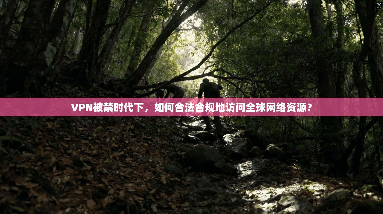 VPN被禁时代下，如何合法合规地访问全球网络资源？