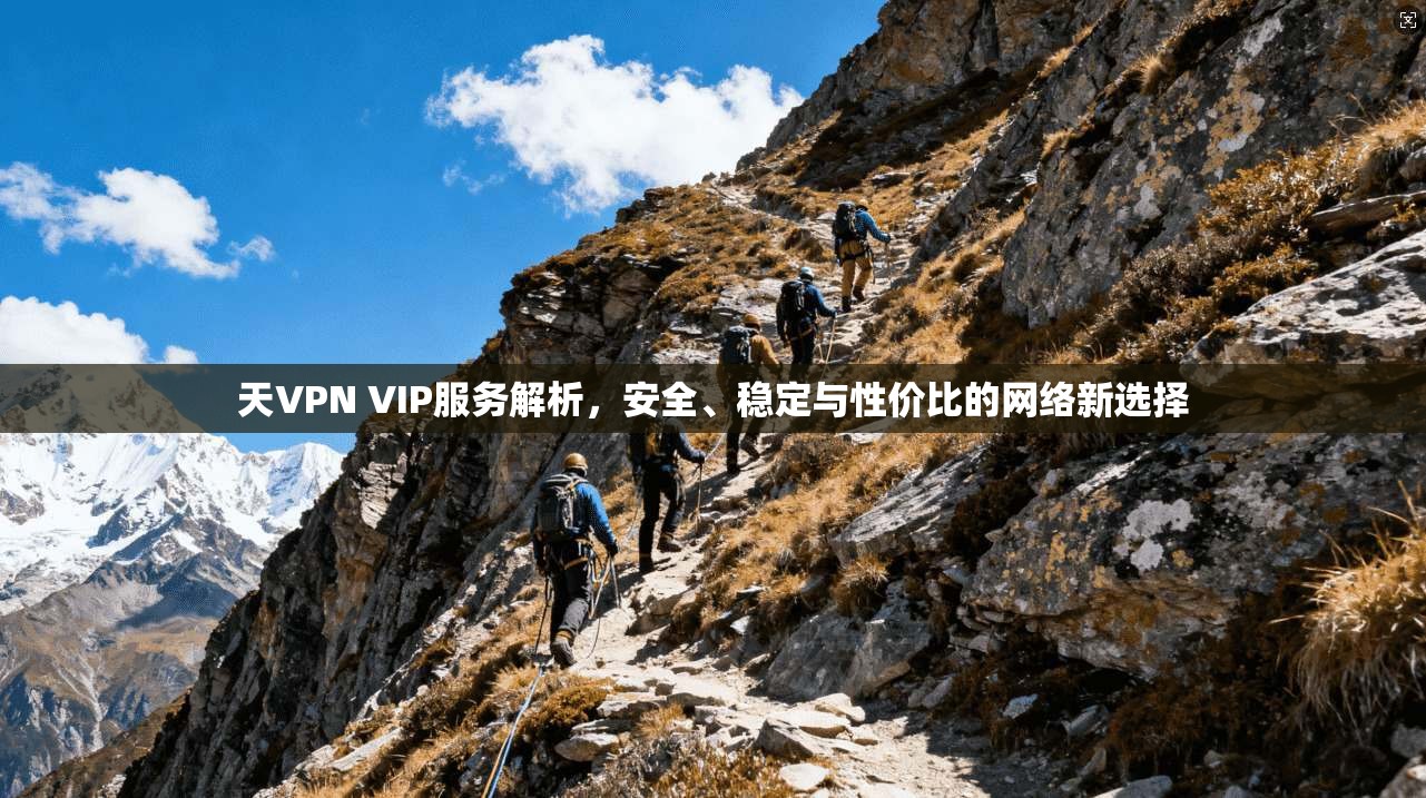 天VPN VIP服务解析，安全、稳定与性价比的网络新选择
