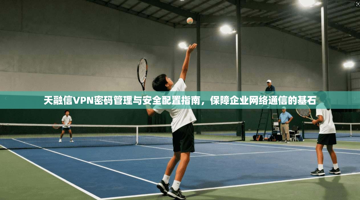 天融信VPN密码管理与安全配置指南，保障企业网络通信的基石