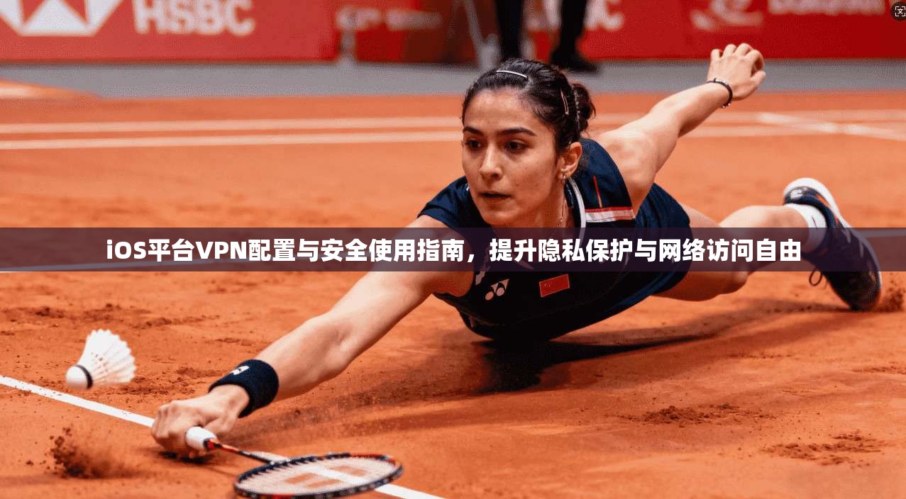 iOS平台VPN配置与安全使用指南，提升隐私保护与网络访问自由