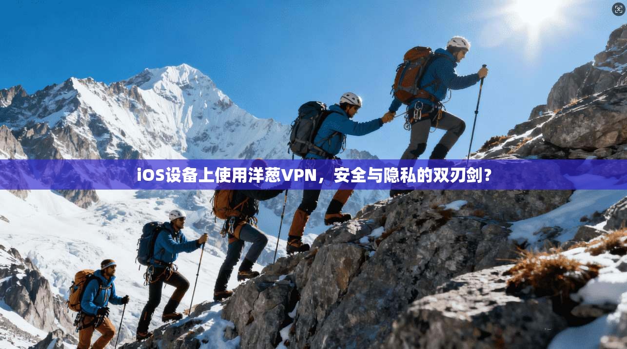 iOS设备上使用洋葱VPN，安全与隐私的双刃剑？