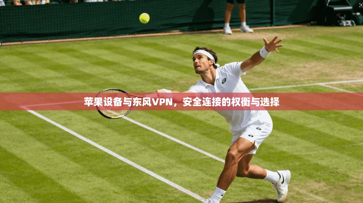 苹果设备与东风VPN，安全连接的权衡与选择