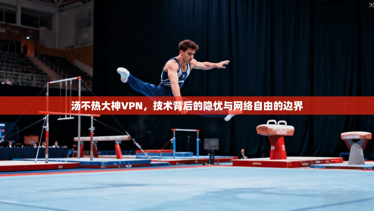 汤不热大神VPN，技术背后的隐忧与网络自由的边界