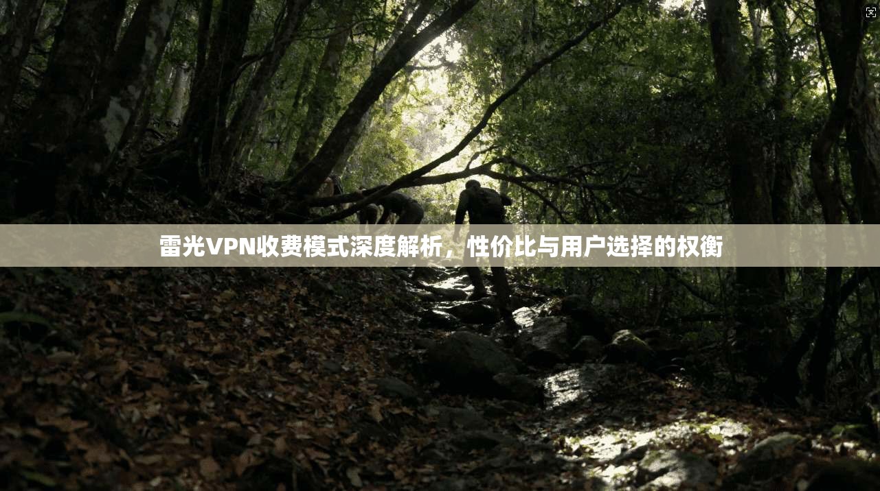 雷光VPN收费模式深度解析，性价比与用户选择的权衡