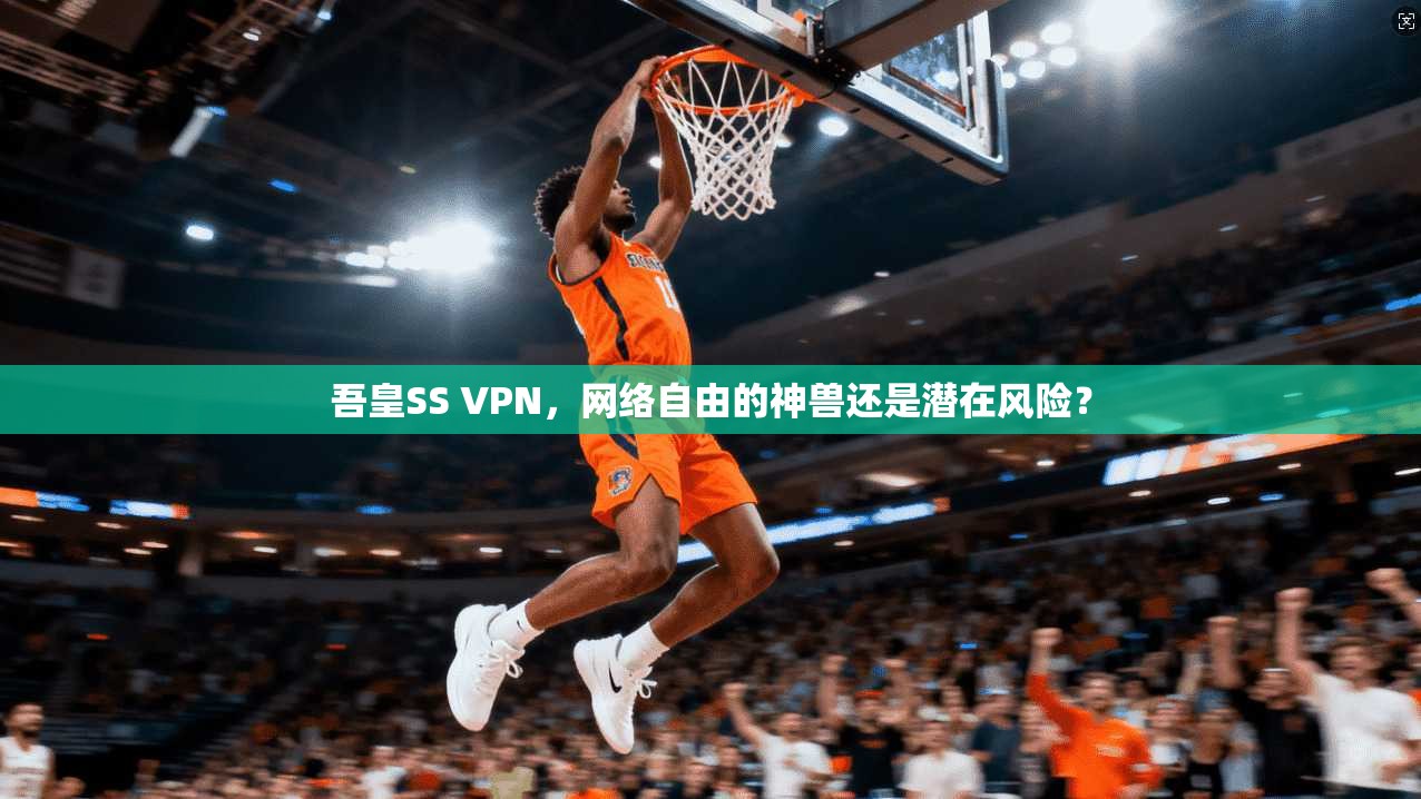 吾皇SS VPN，网络自由的神兽还是潜在风险？