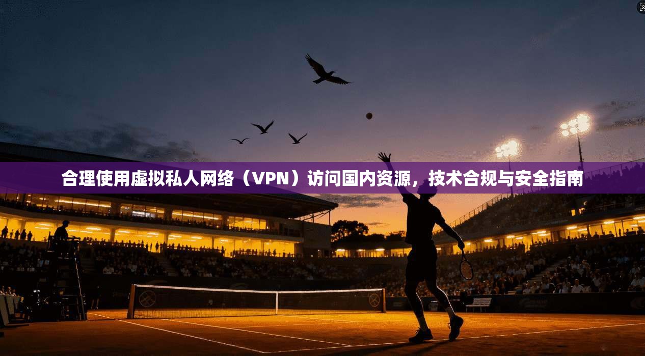合理使用虚拟私人网络（VPN）访问国内资源，技术合规与安全指南