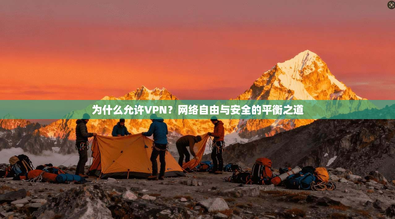 为什么允许VPN?网络自由与安全的平衡之道 为什么允许VPN?网络自由与安全的平衡之道