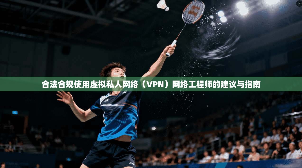 合法合规使用虚拟私人网络(VPN)网络工程师的建议与指南 合法合规使用虚拟私人网络(VPN)网络工程师的建议与指南