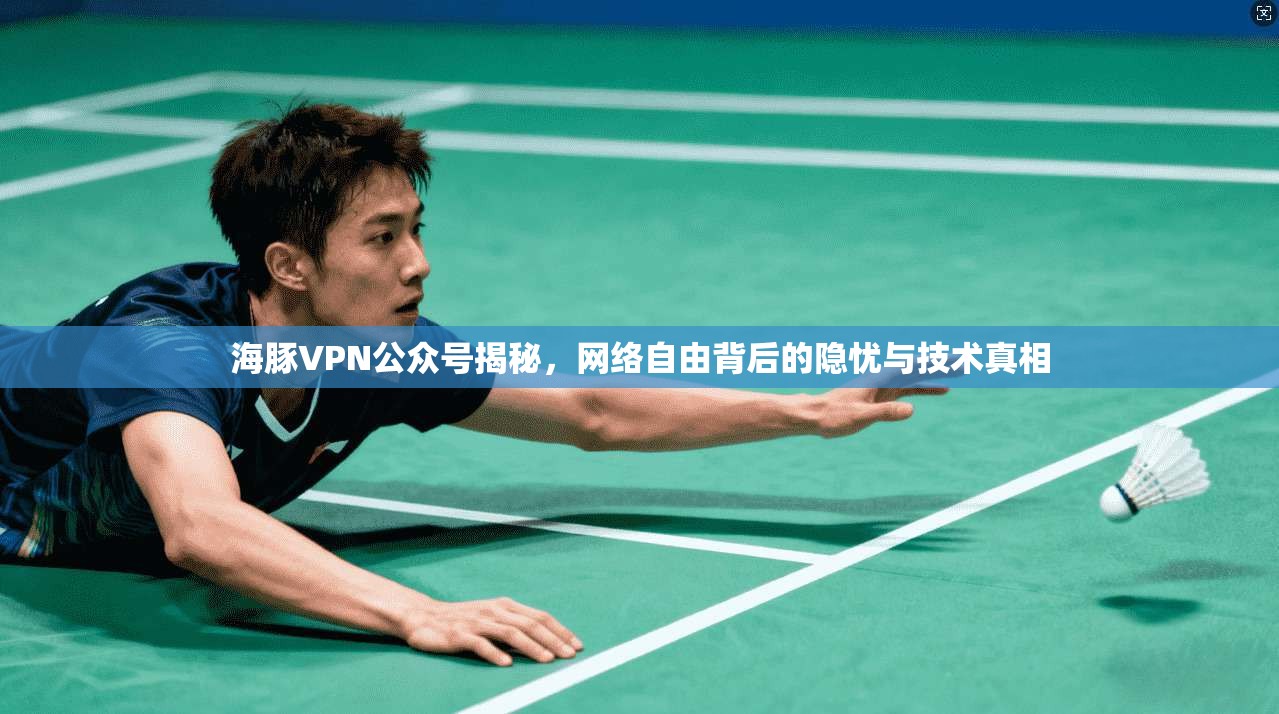 海豚VPN公众号揭秘,网络自由背后的隐忧与技术真相 海豚VPN公众号揭秘,网络自由背后的隐忧与技术真相