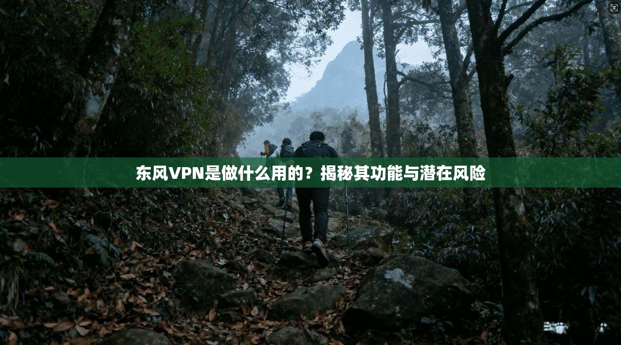东风VPN是做什么用的?揭秘其功能与潜在风险 东风VPN是做什么用的?揭秘其功能与潜在风险