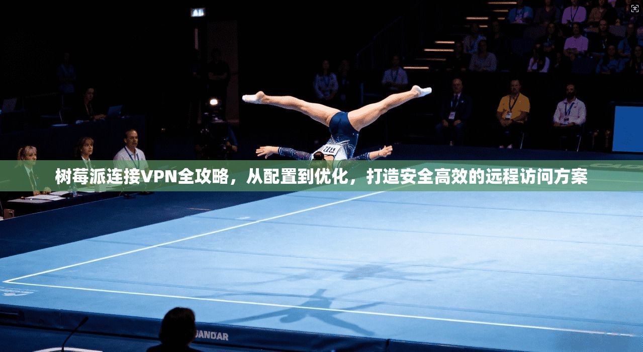 树莓派连接VPN全攻略，从配置到优化，打造安全高效的远程访问方案