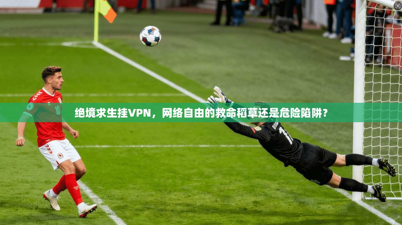 绝境求生挂VPN，网络自由的救命稻草还是危险陷阱？