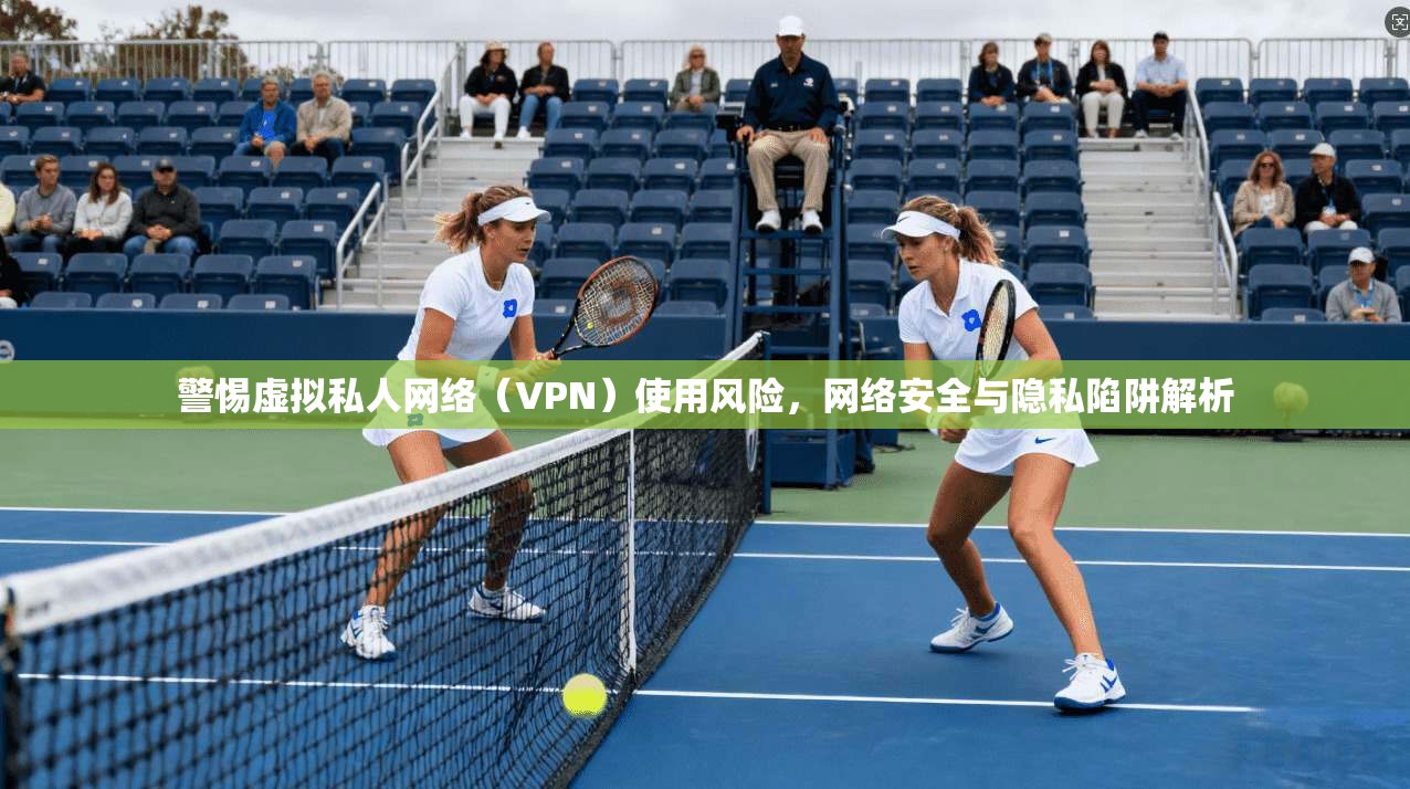 警惕虚拟私人网络(VPN)使用风险,网络安全与隐私陷阱解析 警惕虚拟私人网络(VPN)使用风险,网络安全与隐私陷阱解析