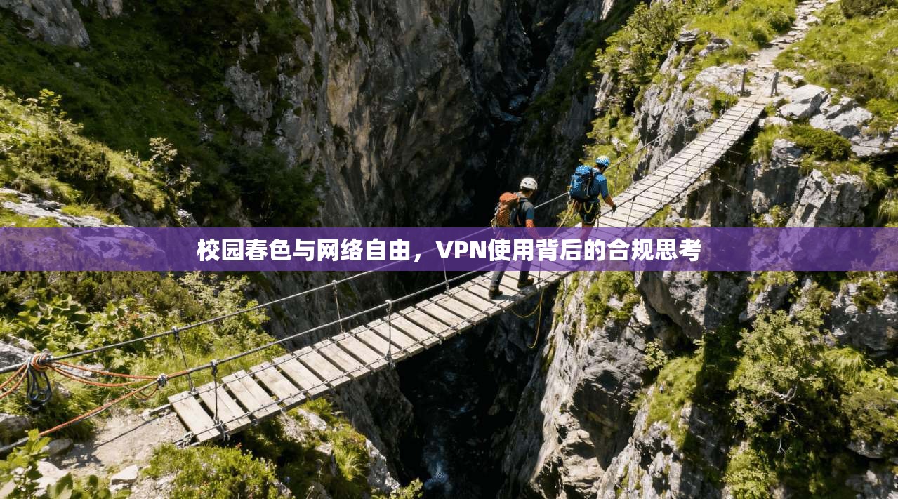 校园春色与网络自由，VPN使用背后的合规思考