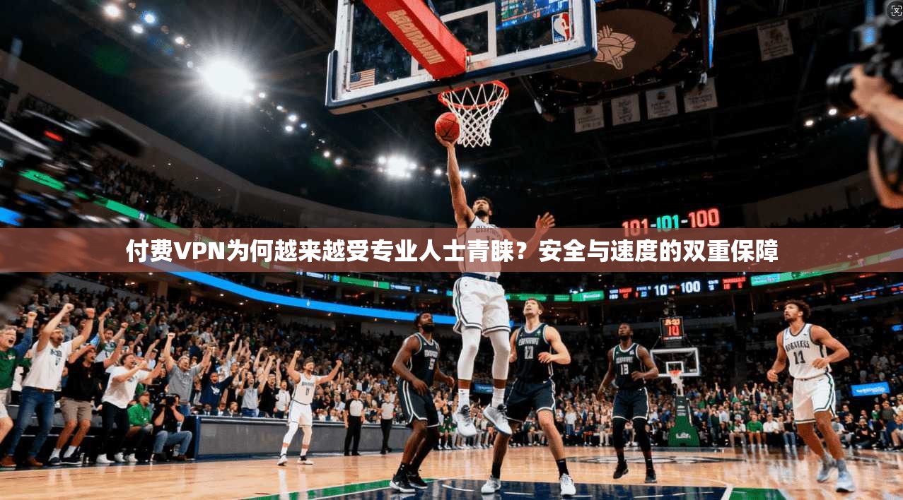 付费VPN为何越来越受专业人士青睐？安全与速度的双重保障