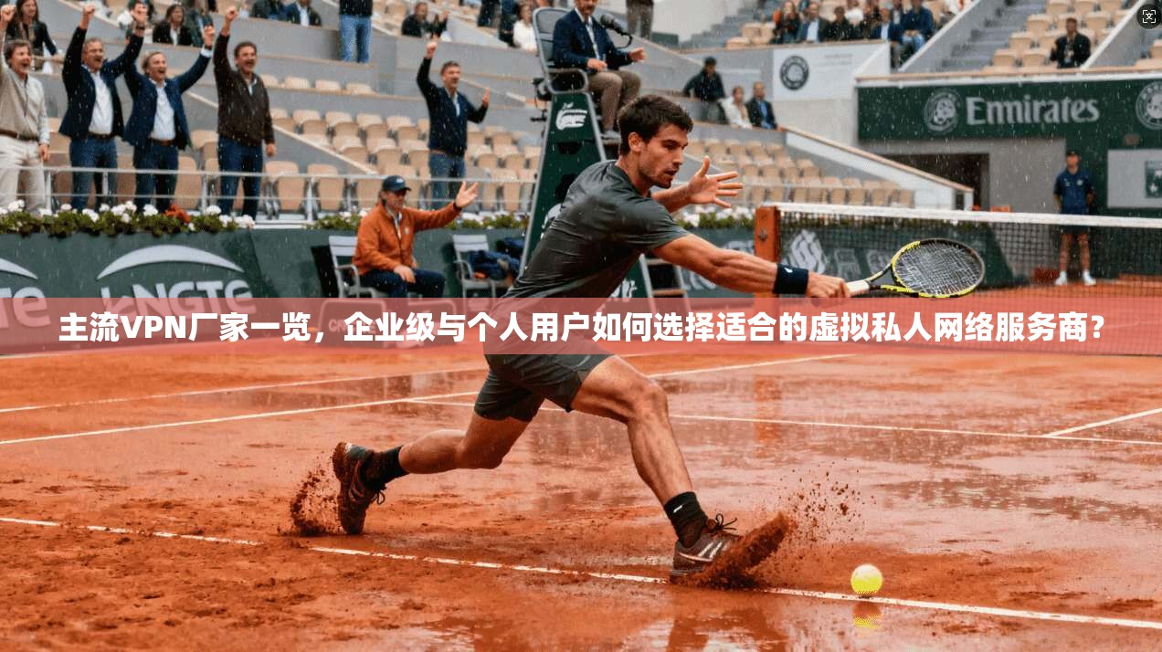 主流VPN厂家一览，企业级与个人用户如何选择适合的虚拟私人网络服务商？