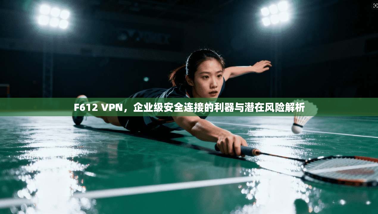 F612 VPN，企业级安全连接的利器与潜在风险解析