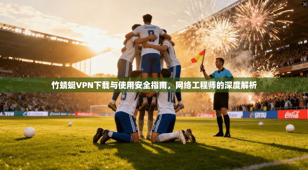 竹蜻蜓VPN下载与使用安全指南，网络工程师的深度解析