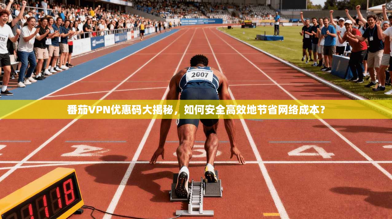 番茄VPN优惠码大揭秘，如何安全高效地节省网络成本？