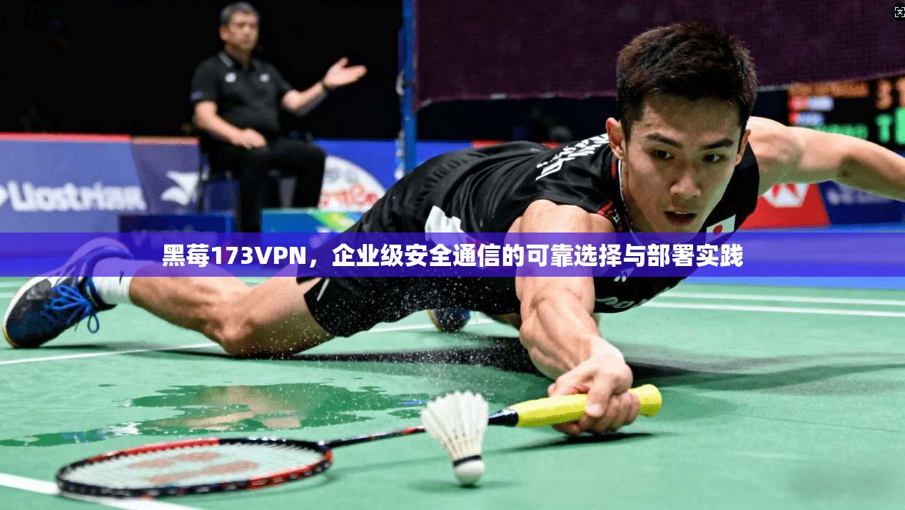 黑莓173VPN，企业级安全通信的可靠选择与部署实践