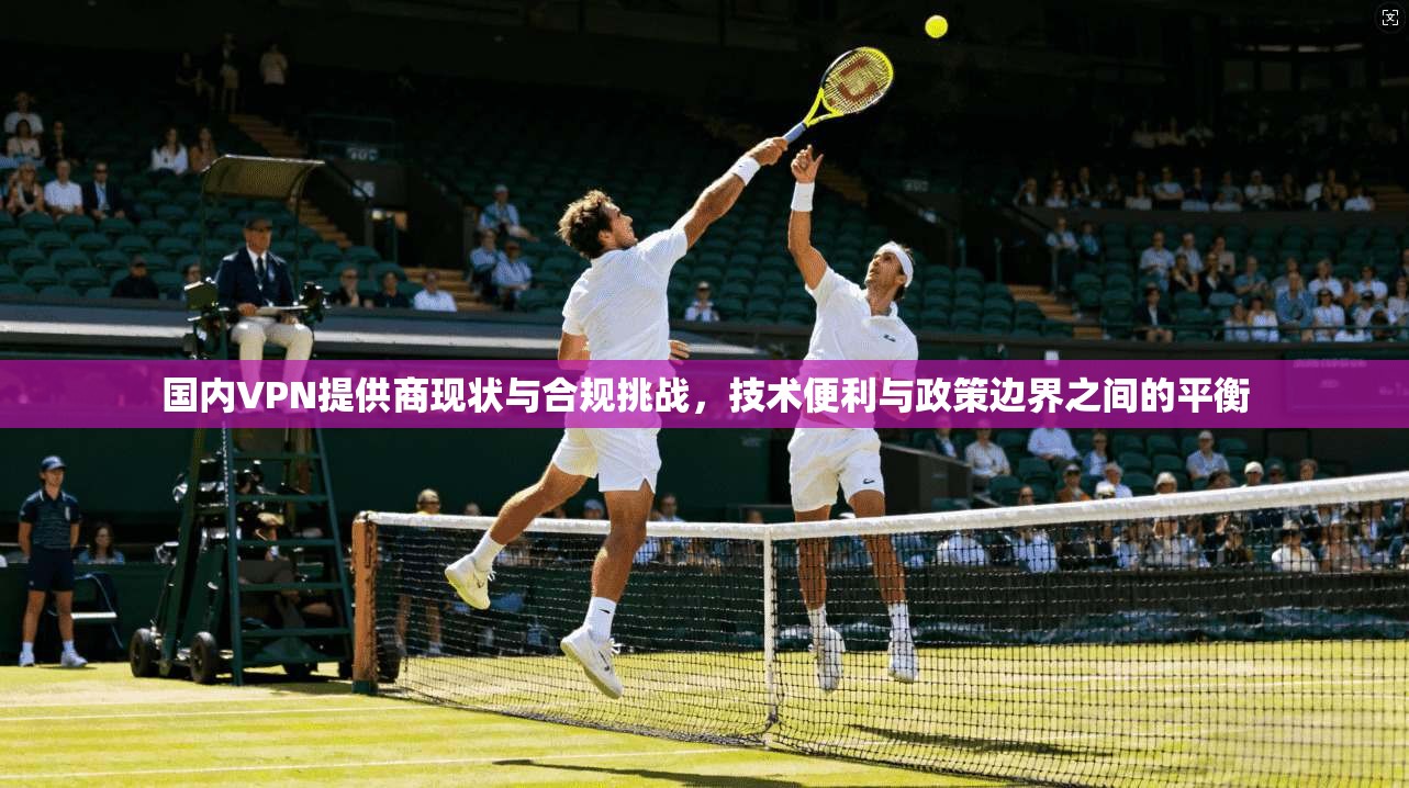 国内VPN提供商现状与合规挑战，技术便利与政策边界之间的平衡