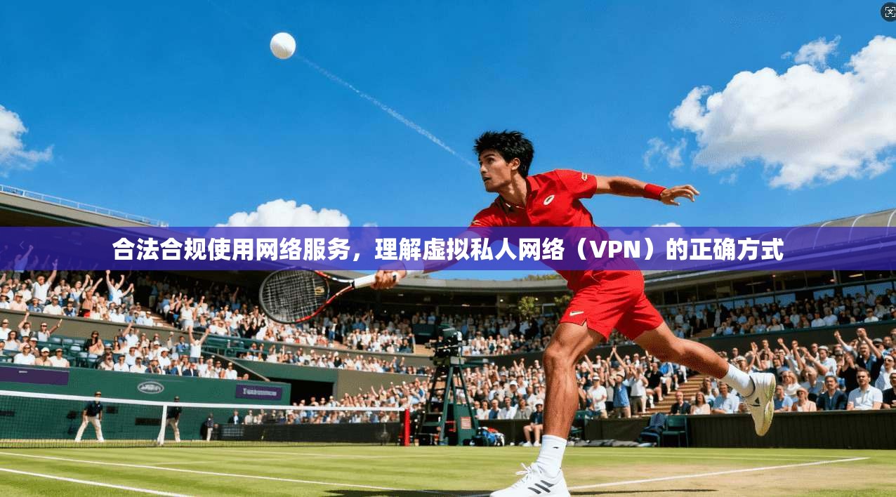 合法合规使用网络服务，理解虚拟私人网络（VPN）的正确方式