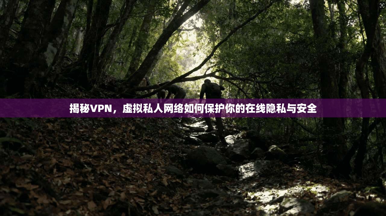 揭秘VPN,虚拟私人网络如何保护你的在线隐私与安全 揭秘VPN,虚拟私人网络如何保护你的在线隐私与安全