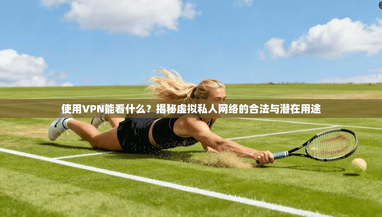 使用VPN能看什么？揭秘虚拟私人网络的合法与潜在用途