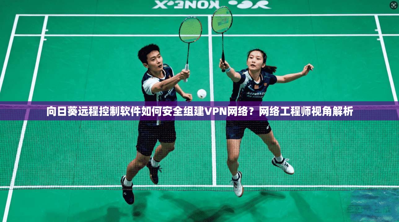向日葵远程控制软件如何安全组建VPN网络？网络工程师视角解析