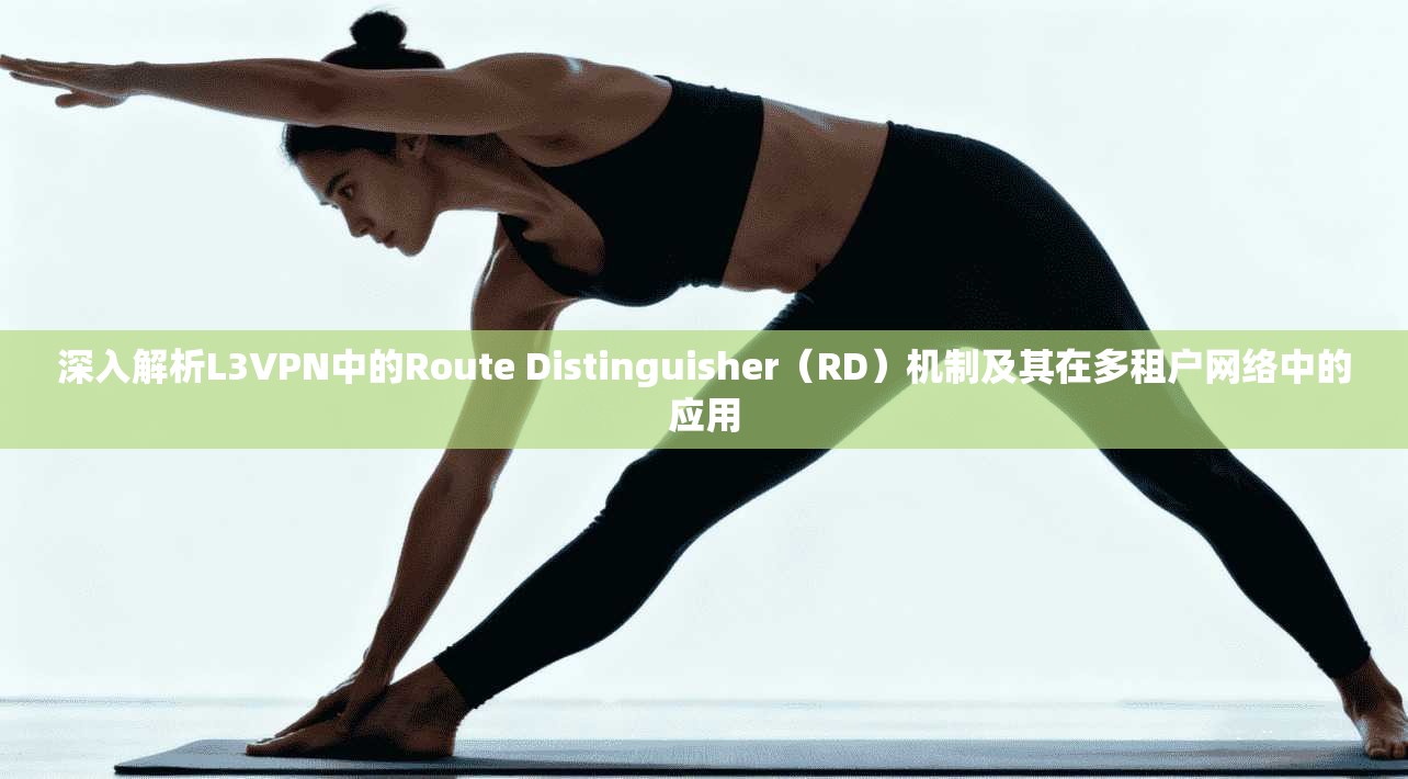 深入解析L3VPN中的Route Distinguisher（RD）机制及其在多租户网络中的应用