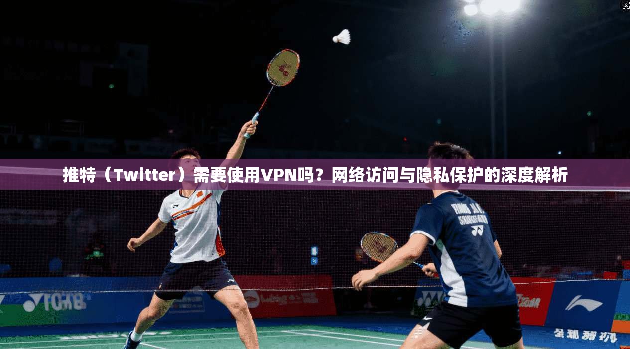 推特(Twitter)需要使用VPN吗?网络访问与隐私保护的深度解析 推特(Twitter)需要使用VPN吗?网络访问与隐私保护的深度解析