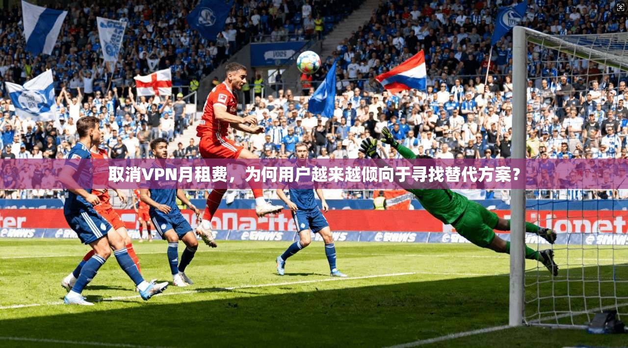 取消VPN月租费，为何用户越来越倾向于寻找替代方案？