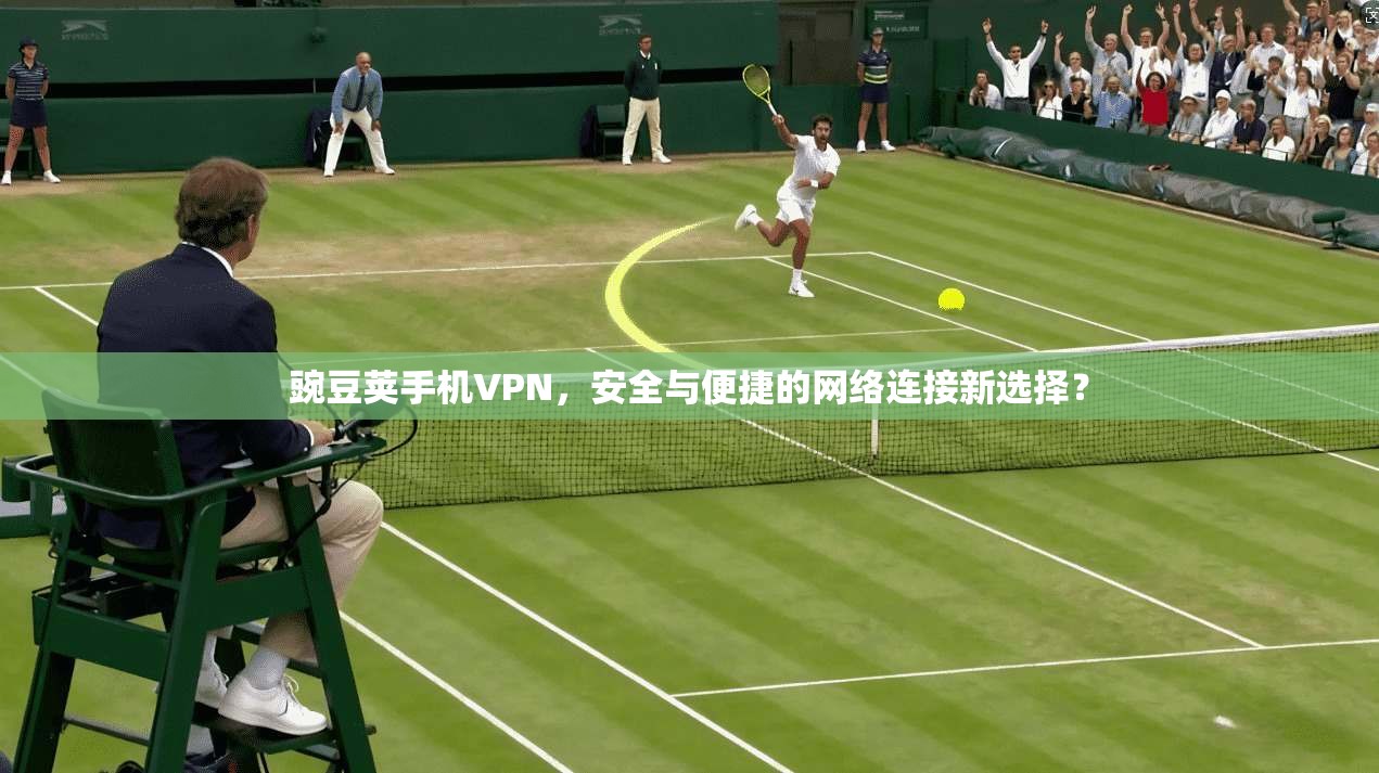 豌豆荚手机VPN，安全与便捷的网络连接新选择？