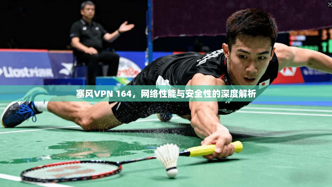 塞风VPN 164,网络性能与安全性的深度解析 塞风VPN 164,网络性能与安全性的深度解析