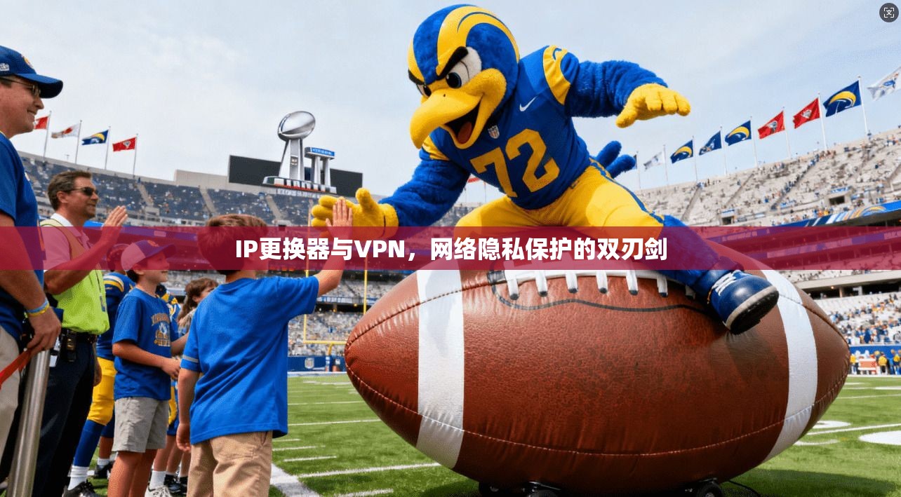 IP更换器与VPN，网络隐私保护的双刃剑