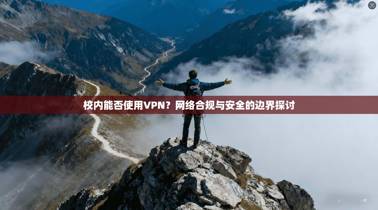 校内能否使用VPN？网络合规与安全的边界探讨