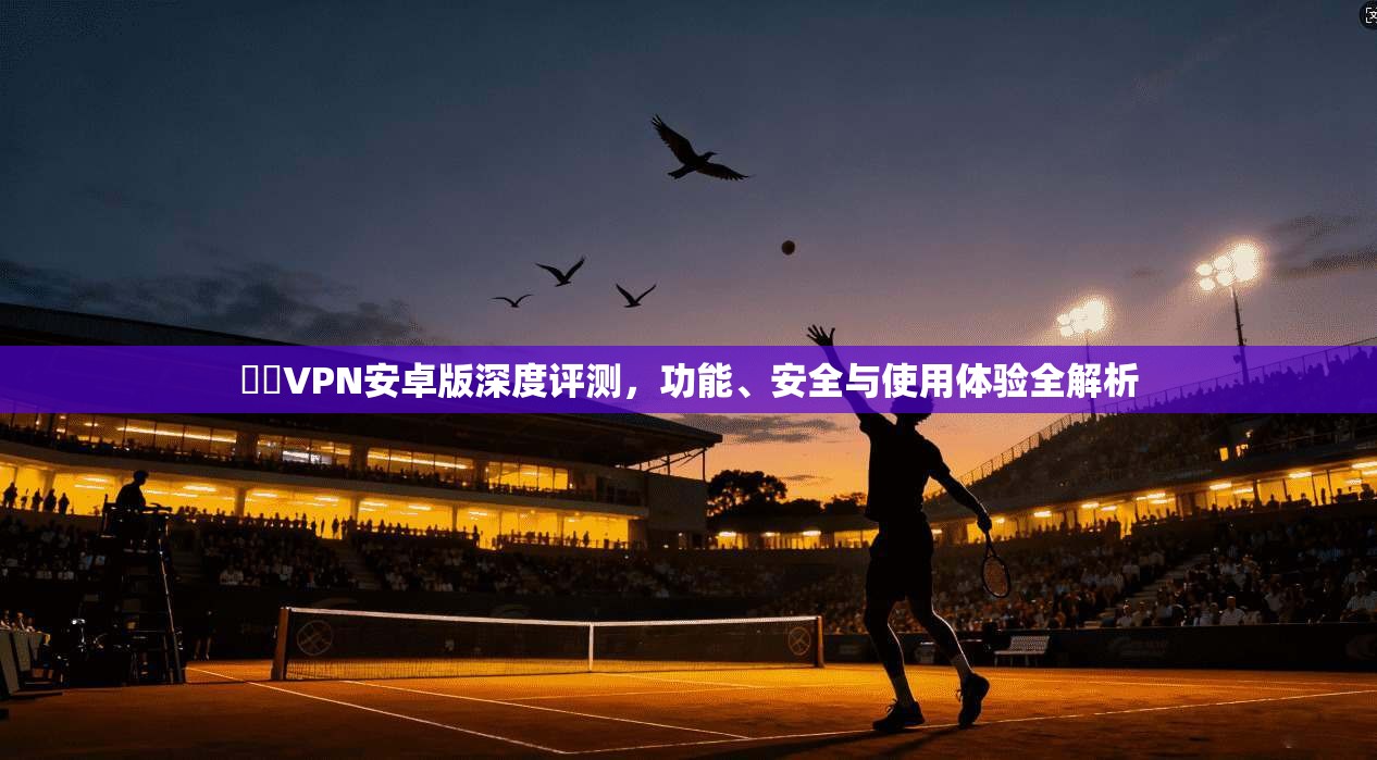 藍燈VPN安卓版深度评测，功能、安全与使用体验全解析